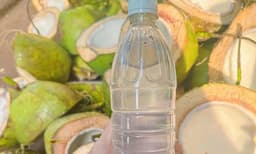 Nước dừa uống lúc nào tốt nhất? Bác sĩ Y học cổ truyền chỉ ra 3 thời điểm 'vàng'