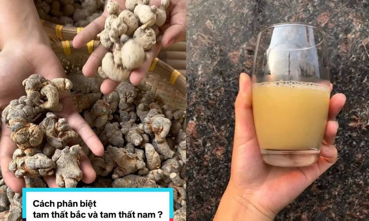 Bác sĩ chỉ cách phân biệt tam thất bắc và tam thất nam để không bao giờ mua nhầm nữa